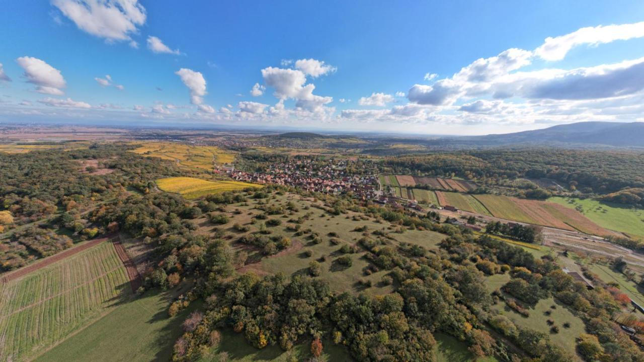 Gite Le Petit Moulin Rosenwiller Buitenkant foto