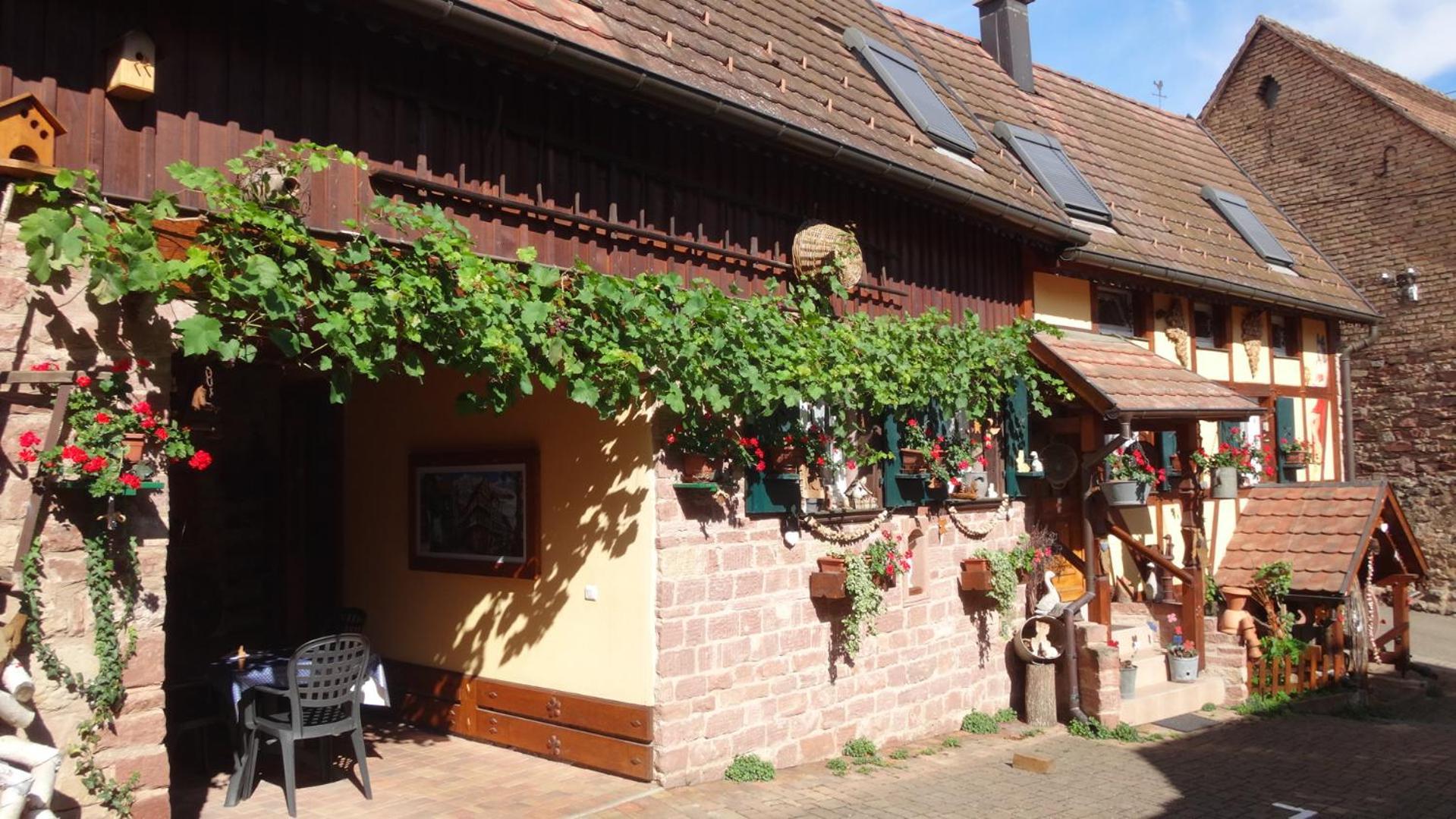 Gite Le Petit Moulin Rosenwiller Buitenkant foto