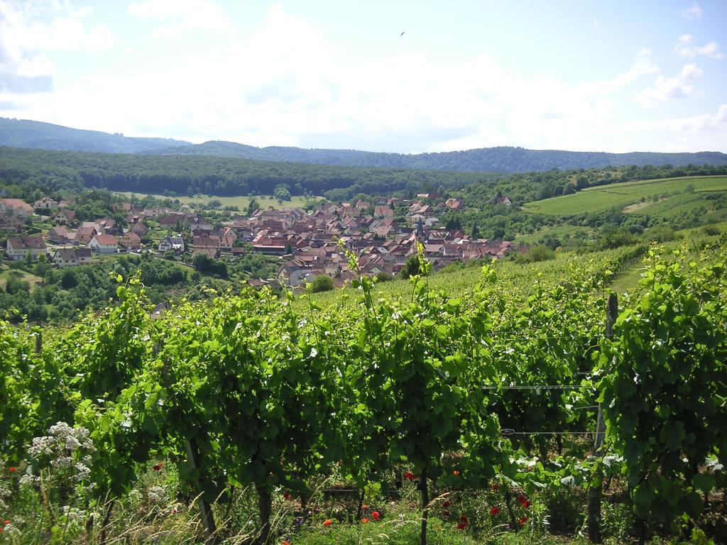 Gite Le Petit Moulin Rosenwiller Buitenkant foto