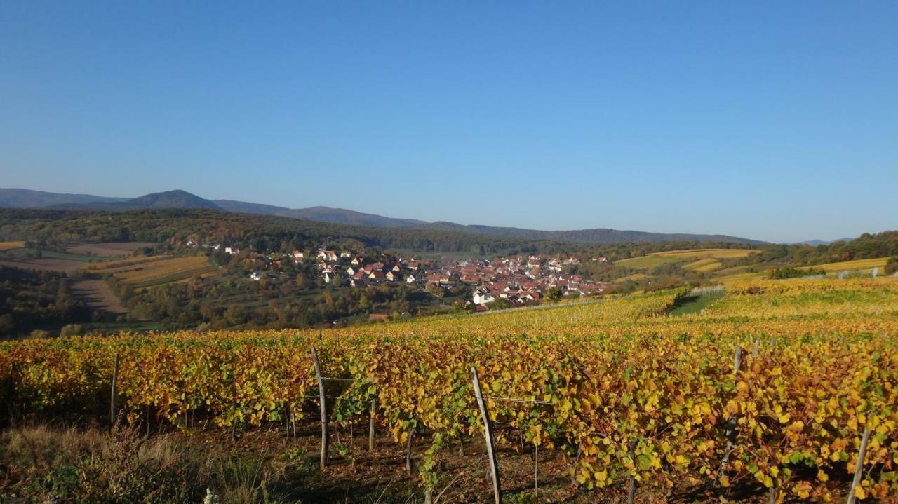 Gite Le Petit Moulin Rosenwiller Buitenkant foto