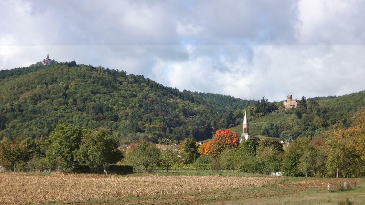 Gite Le Petit Moulin Rosenwiller Buitenkant foto