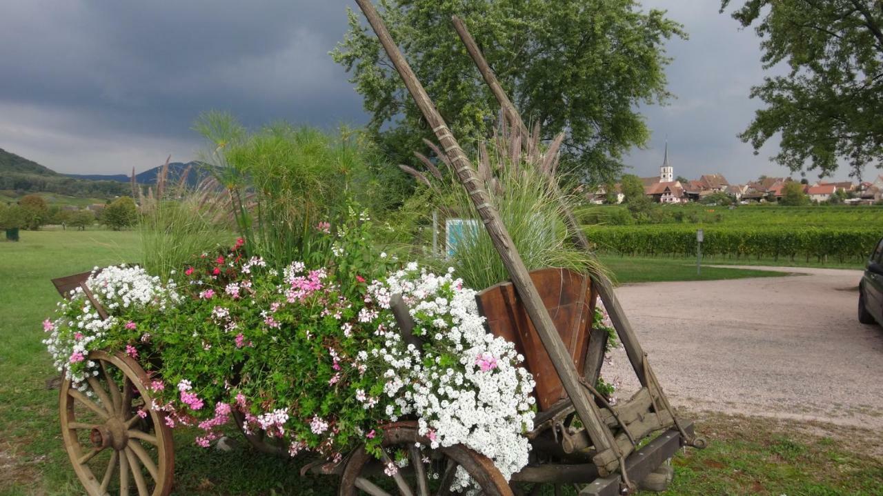 Gite Le Petit Moulin Rosenwiller Buitenkant foto