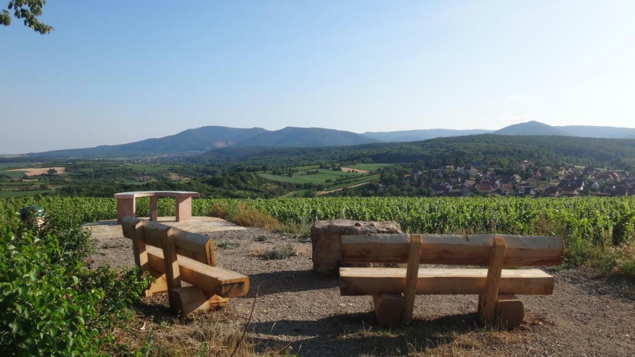 Gite Le Petit Moulin Rosenwiller Buitenkant foto