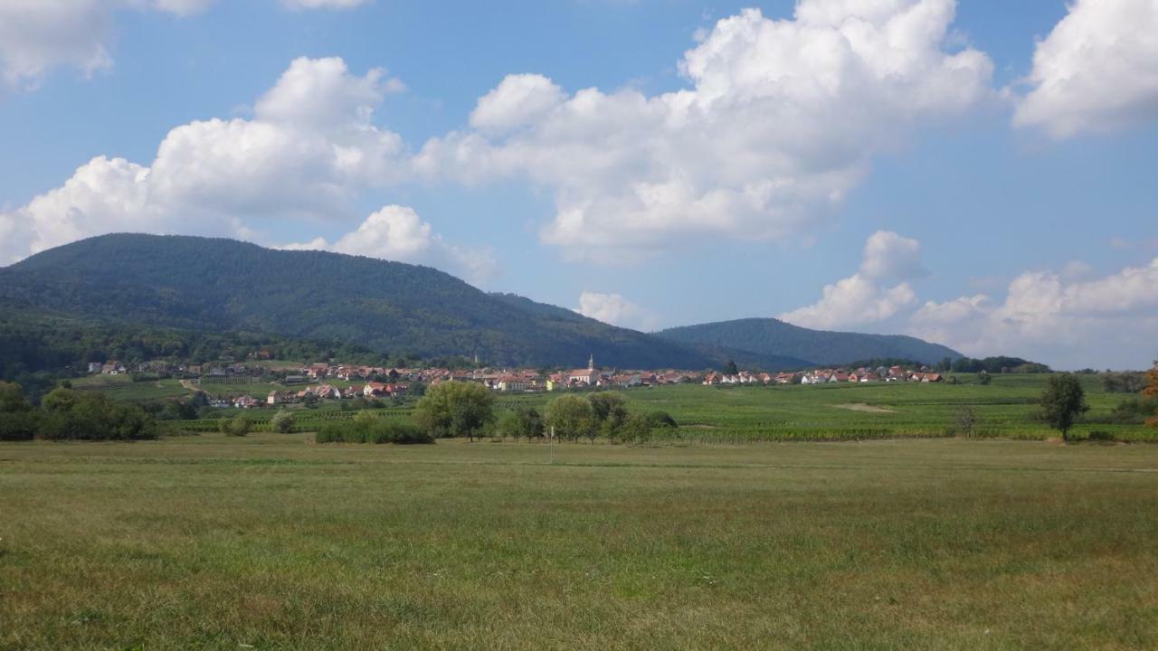 Gite Le Petit Moulin Rosenwiller Buitenkant foto