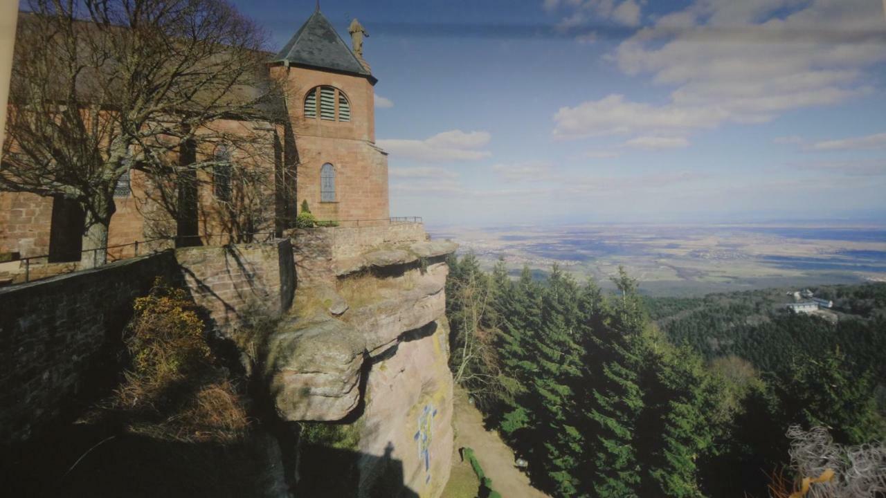 Gite Le Petit Moulin Rosenwiller Buitenkant foto