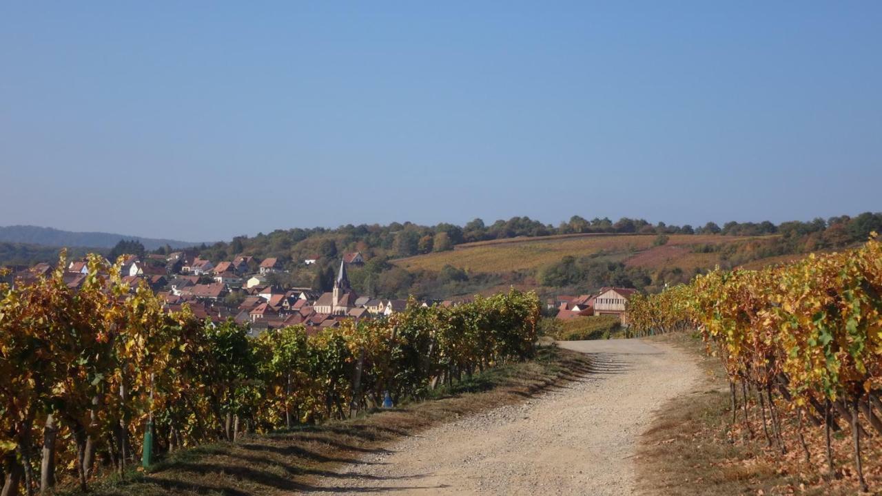 Gite Le Petit Moulin Rosenwiller Buitenkant foto